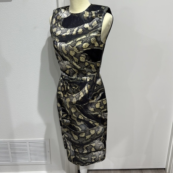 Lanvin Alber Elbaz 2012 Python Snake Sheen Sheath Silk Runway Dress - Size 38 - Picture 3 of 16